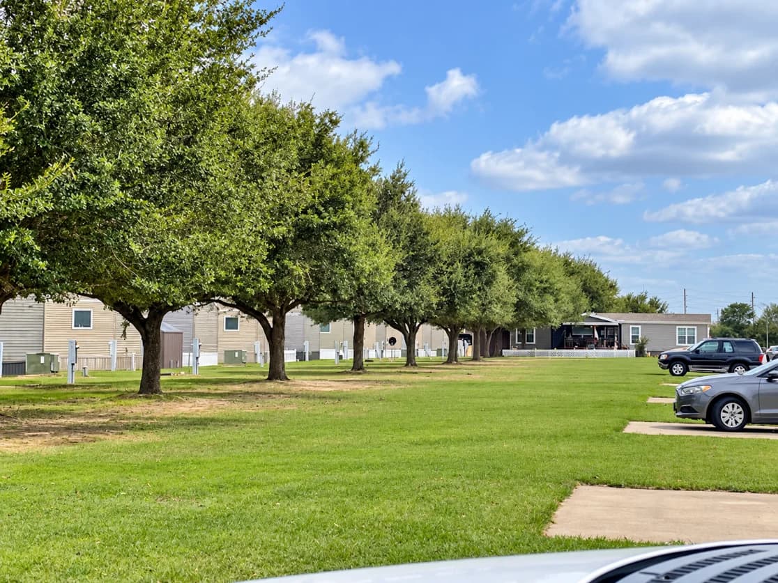 Row of mature shade trees along a grassy lawn beside homes at Briarwood Estates